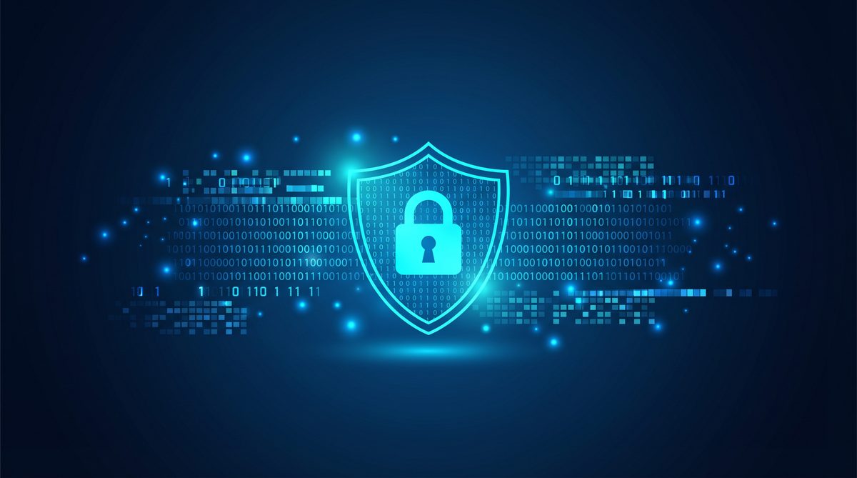 定兔加速器隐私安全保护